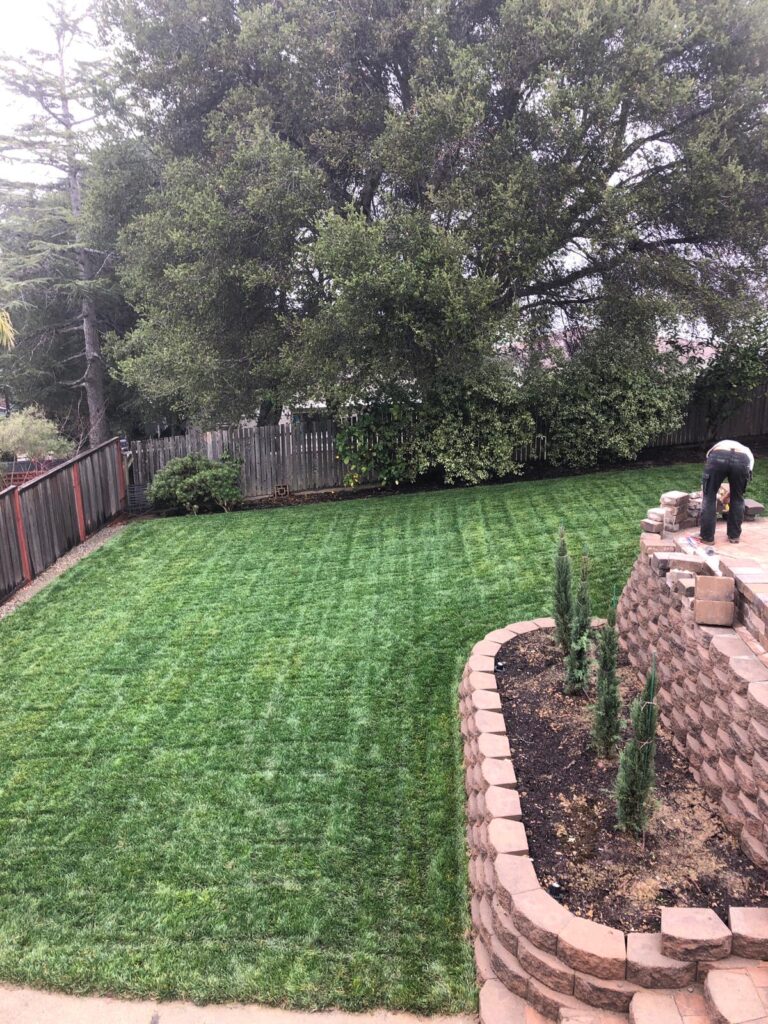 backyard renovation contractors on Landscaping For Bay Area Backyards A Tamam Construction