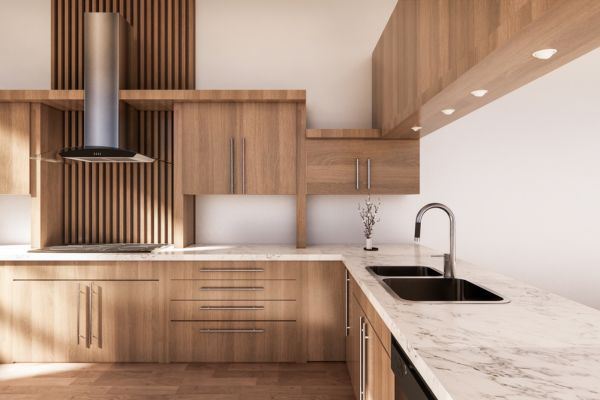 modern kitchen renovation