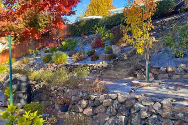 landscaped yard